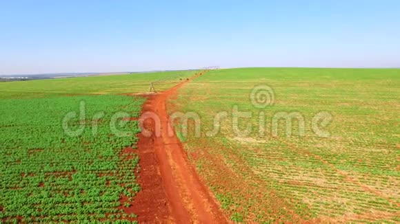 巴西圣保罗州的空中豆种植园视频的预览图