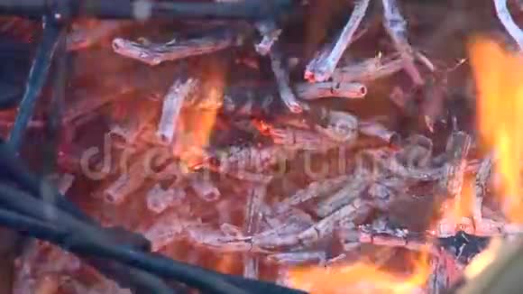 冬季焚烧葡萄藤葡萄园法国吉隆德AOC视频的预览图