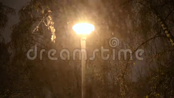 冬天的夜晚雪落在公园里视频的预览图