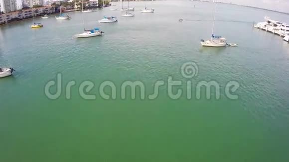 在迈阿密的帆船视频的预览图