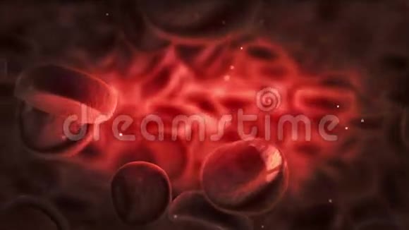 动脉红细胞显微镜观察视频的预览图
