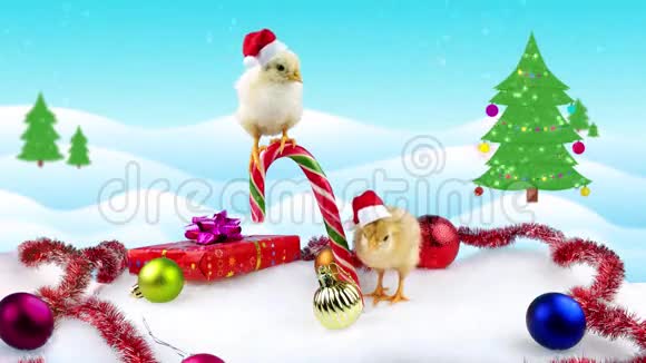 2017两只可爱的小公鸡带文字的新年贺卡视频的预览图