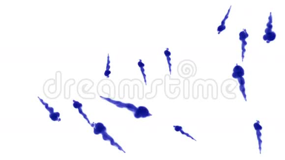 大量的孤立的蓝色墨水注入蓝色颜料在水中混合以慢动作拍摄使用inky背景视频的预览图