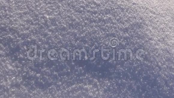 新鲜的冬中雪背景和质地视频的预览图