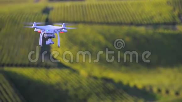 在葡萄园上空飞行的无人机视频的预览图
