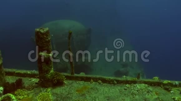 海底沉船红海视频的预览图