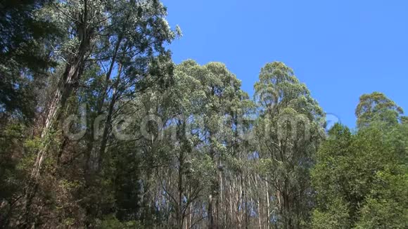 丹德农山脉澳大利亚视频的预览图