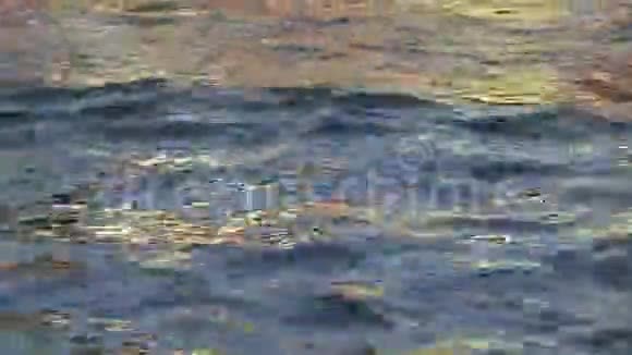 抽象性质金色阳光水反射的房子鲨鱼鲶鱼游泳视频的预览图