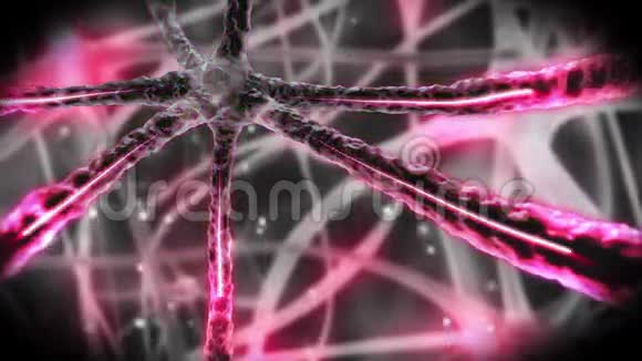 神经元穿越神经系统视频的预览图