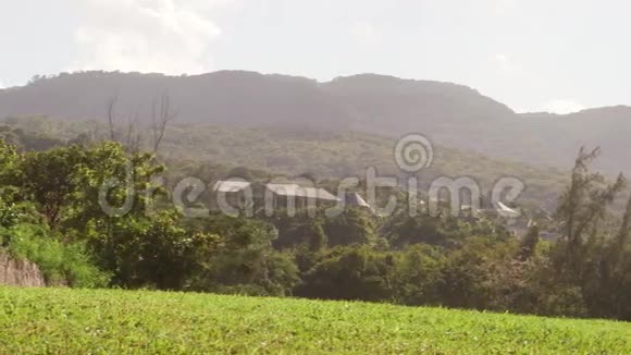 牙买加山地边热带天堂视频的预览图