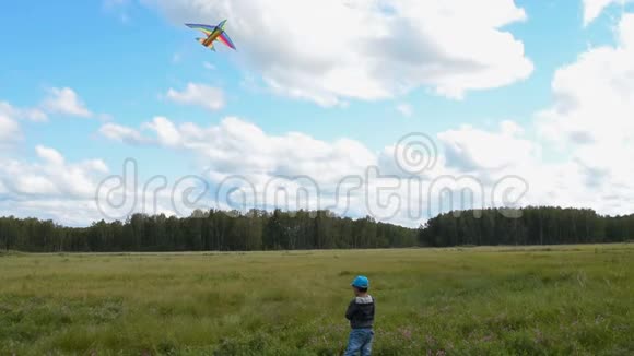 孩子们在乡下放风筝视频的预览图