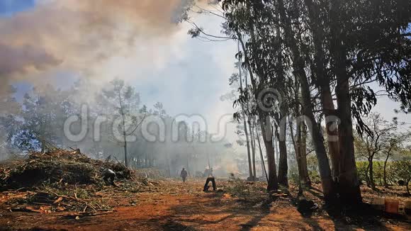 葡萄牙的森林大火视频的预览图