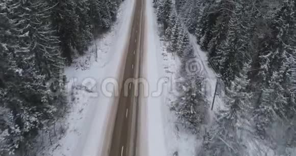林中的冬道视频的预览图