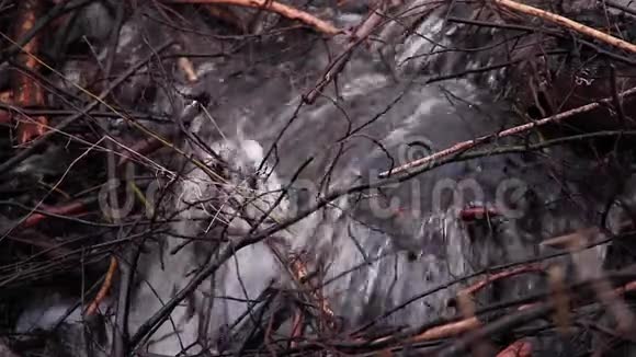 流经河上河狸坝的水视频的预览图