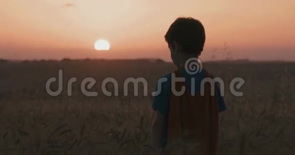 日落时分穿着超级英雄斗篷的小男孩站在金色麦田里视频的预览图