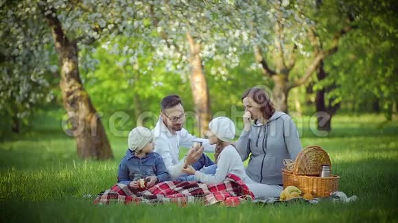 在草地上的公园里的家庭野餐视频的预览图