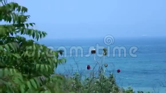 夏季海滨自然景观视频的预览图