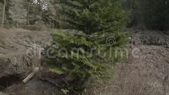 露西亚瀑布瀑布瀑布视频的预览图