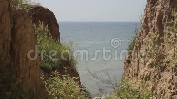 夏季海滨自然景观视频的预览图