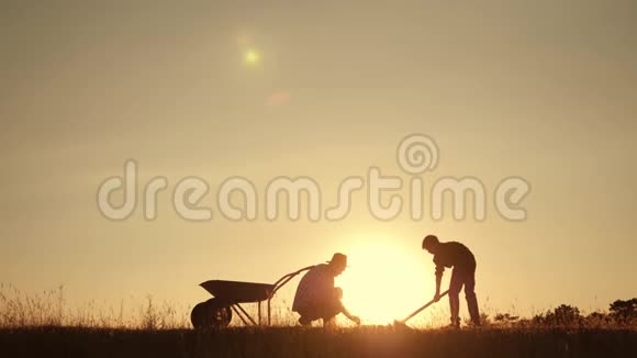 幸福的家庭父子在夕阳下的田野里收割视频的预览图