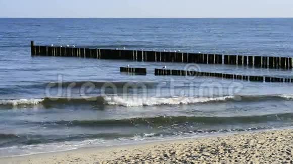 波兰波罗的海乌迪内莫尔斯基海滩视频的预览图