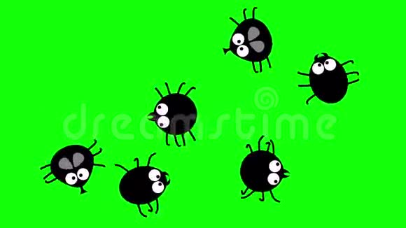 绿色屏幕上爬行的有趣的黑色昆虫2d动画卡通无缝视频的预览图