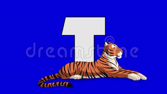 字母T和老虎前景视频的预览图