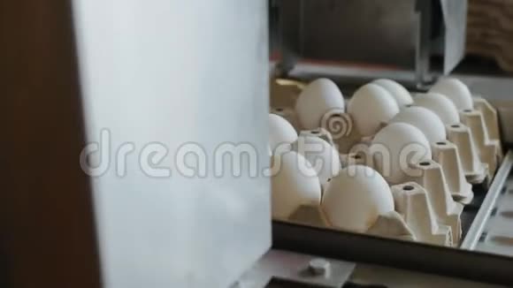自动装置在家禽养殖场标记鸡蛋视频的预览图