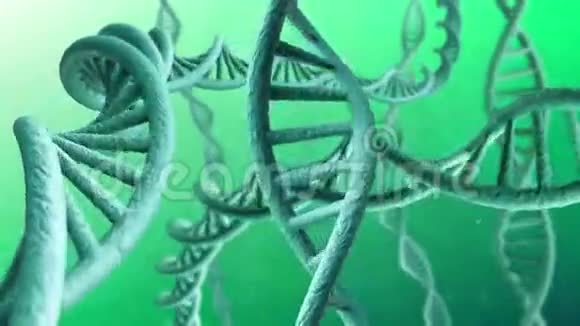 旋转DNA链视频的预览图