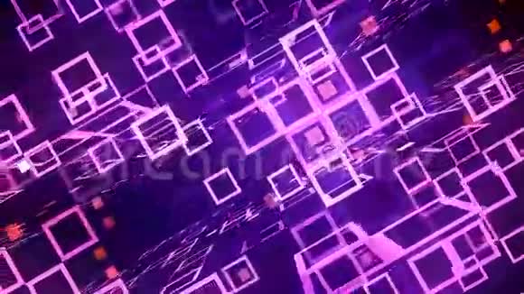 紫色技术网格视频的预览图
