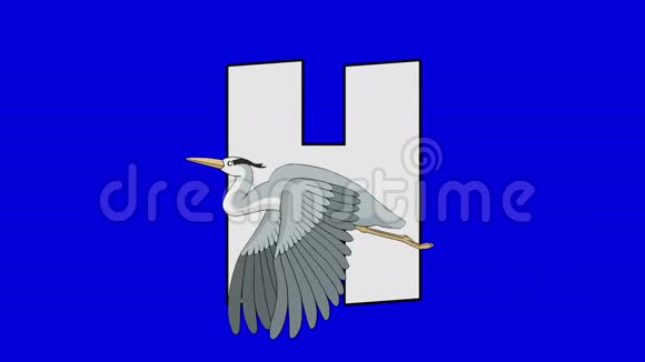 字母H和Heron前景视频的预览图
