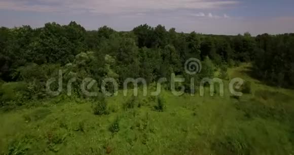 美丽的绿色田野和森林鸟瞰图视频的预览图