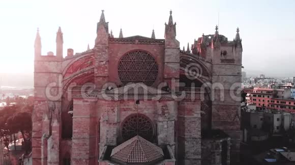 西班牙巴利阿里群岛PalmadeMallorca大教堂空中城市景观视频的预览图