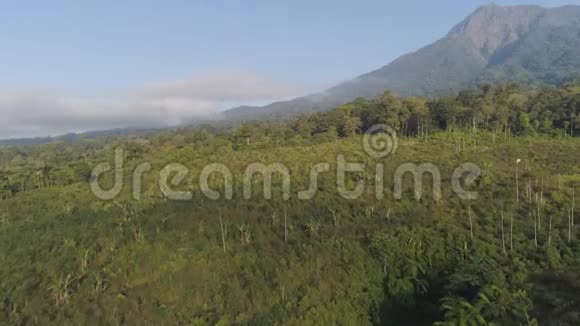 热带景观雨林和山脉视频的预览图