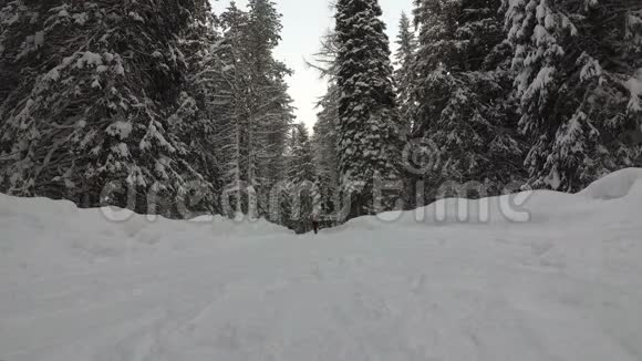 在冬天森林降雪的路上在山上视频的预览图