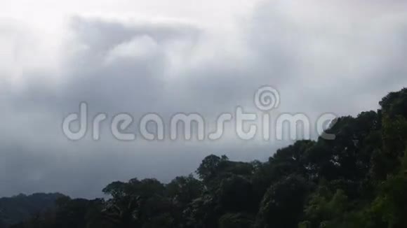 云彩在森林上空移动并变暗视频的预览图