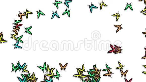 五彩蝴蝶到了编了2018年的题字号视频的预览图