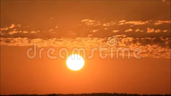 地平线上的日落视频的预览图