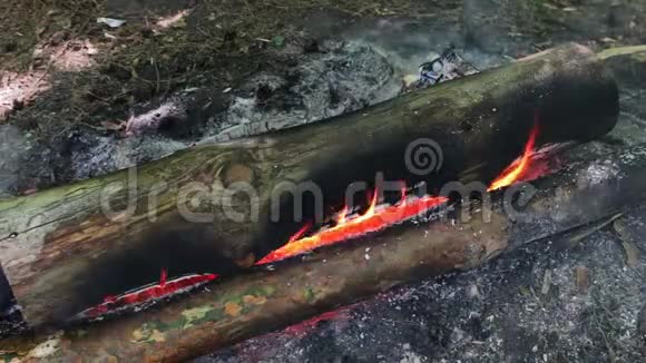 巨大的燃烧的木柴或原木躺在绿色上在明火中燃烧视频的预览图