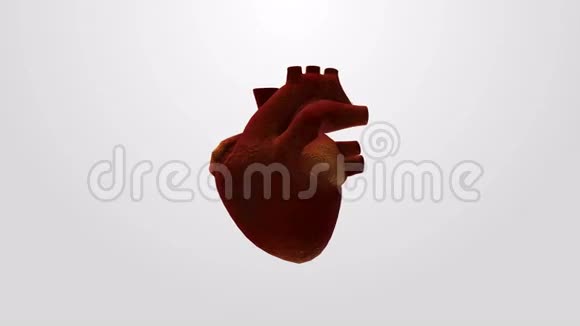 人体心脏旋转动画医学概念视频的预览图