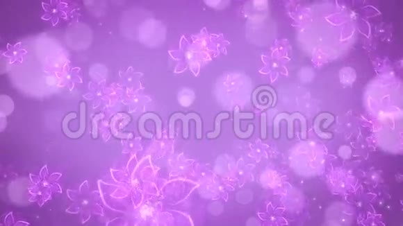 紫花波克背景视频的预览图
