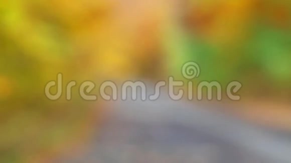 路旁森林中五颜六色的叶子背景视频的预览图