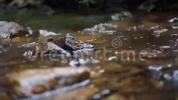 水流在岩石之间发出真实的声音视频的预览图