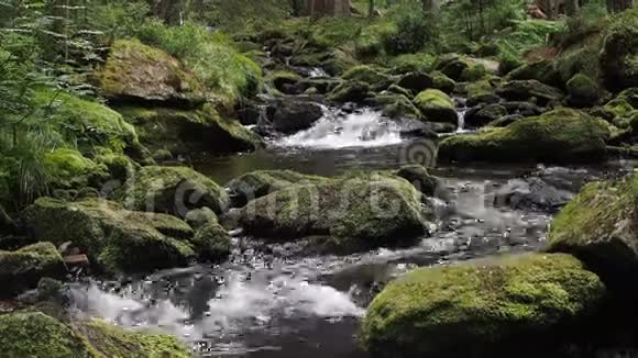 水流在岩石之间发出真实的声音视频的预览图