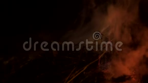 美丽的森林火焰视频的预览图