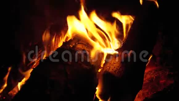 夜晚的篝火视频的预览图