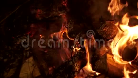 美丽的森林大火视频的预览图