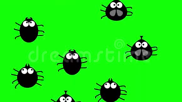 有趣的黑色昆虫爬在绿色屏幕上2d动画卡通无缝视频的预览图