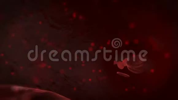 3D血细胞穿过静脉人体血管内科学动画血液中毒视频的预览图