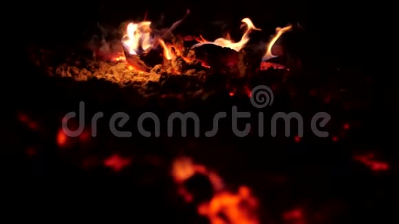 美丽的森林大火视频的预览图